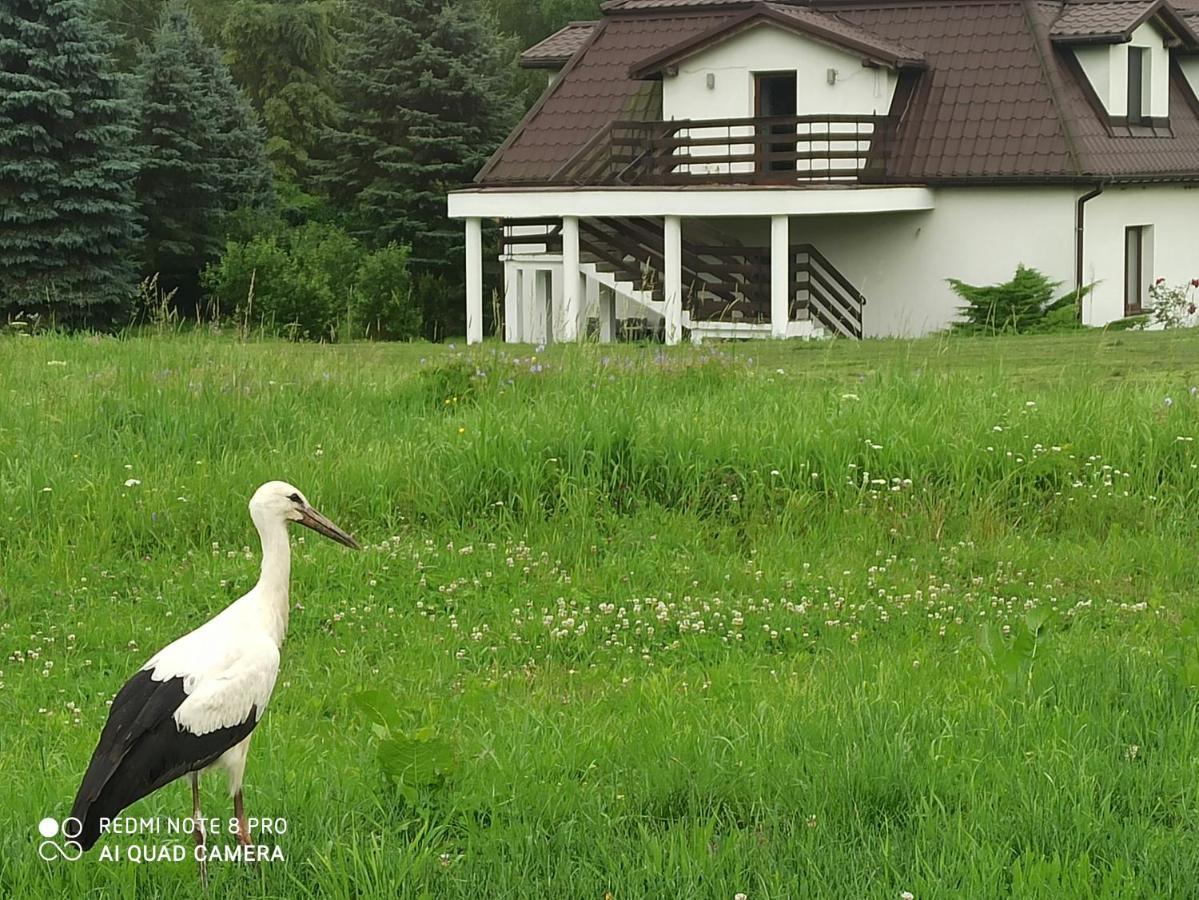 Dwor Wapowce Hotel Kültér fotó