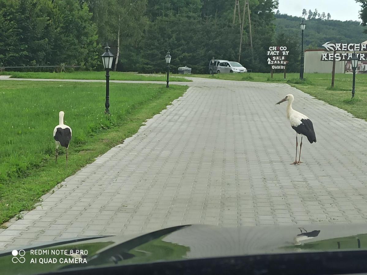 Dwor Wapowce Hotel Kültér fotó